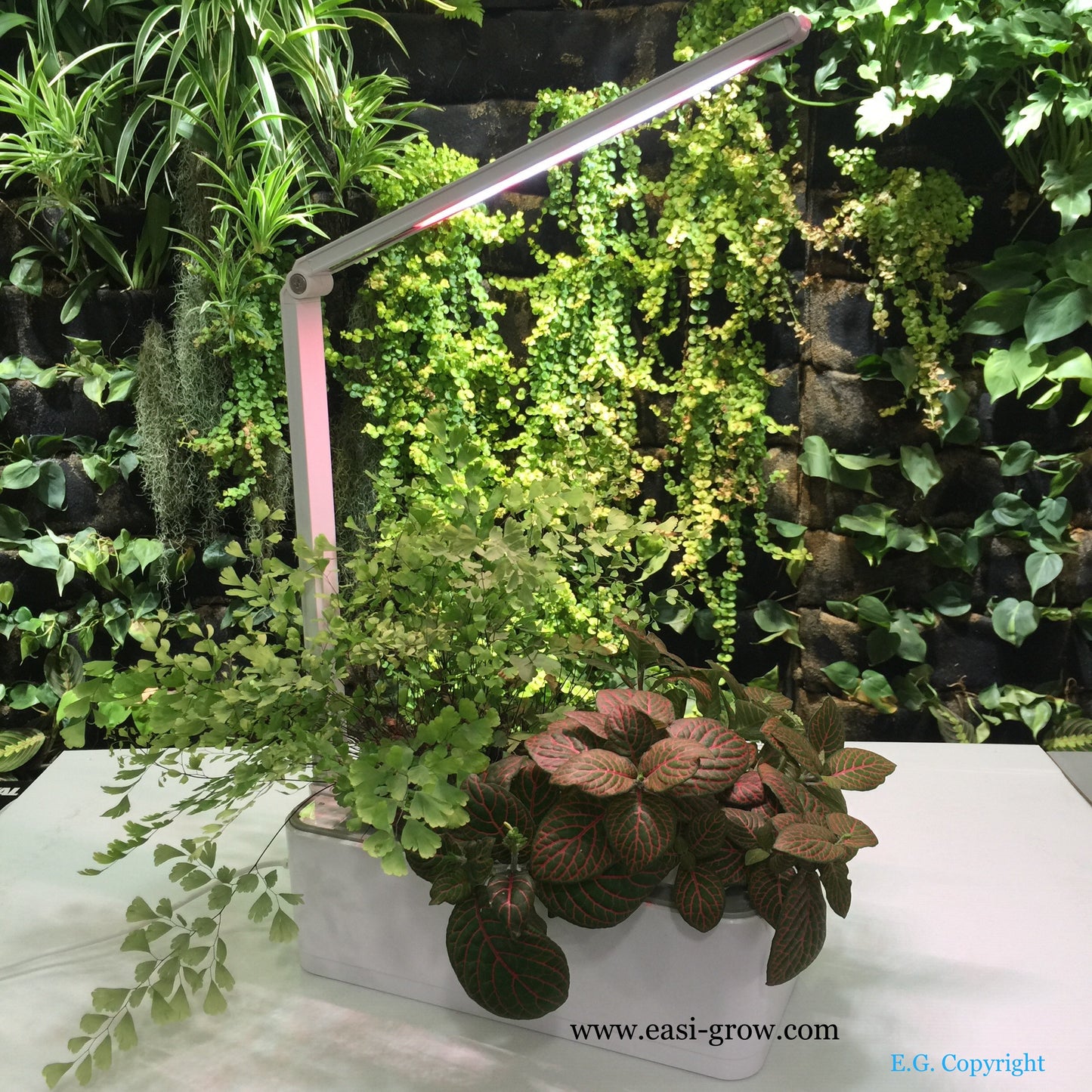 Hydroponic Mini Garden LED (Promotion Sales)