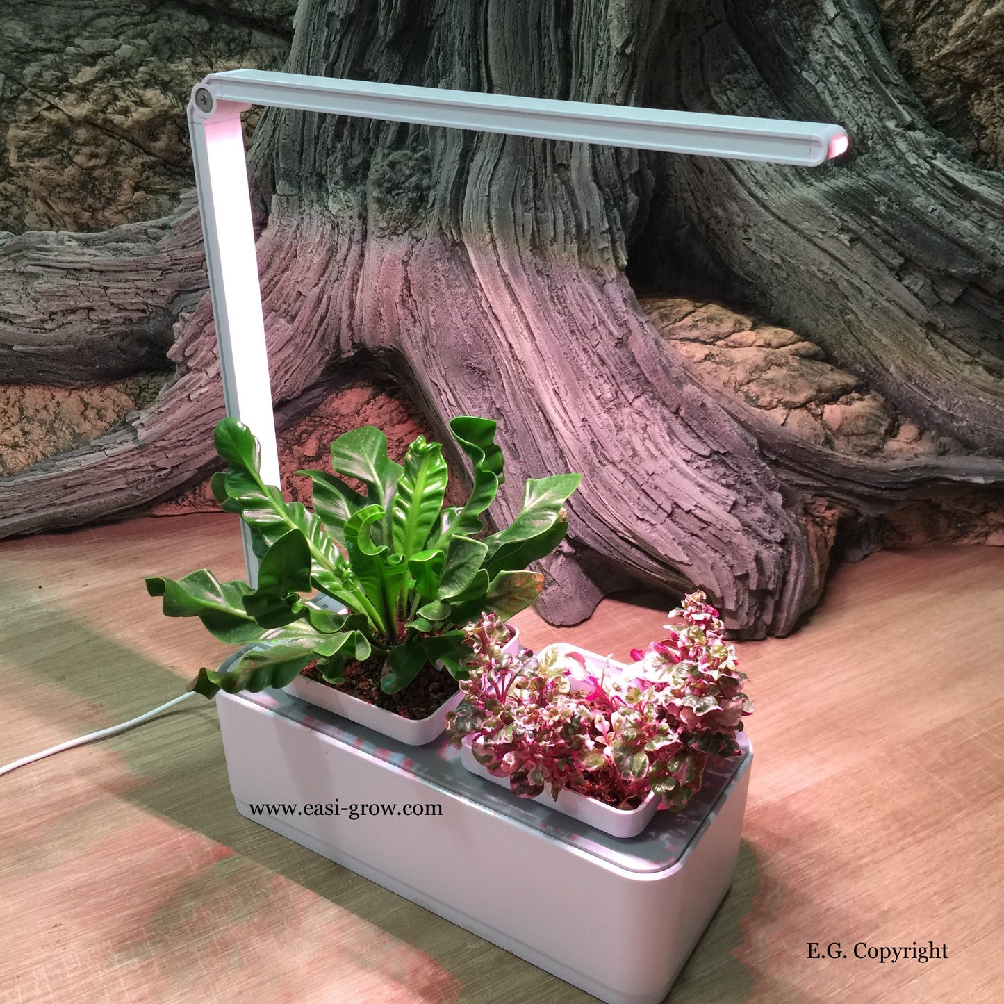 Hydroponic Mini Garden LED (Promotion Sales)