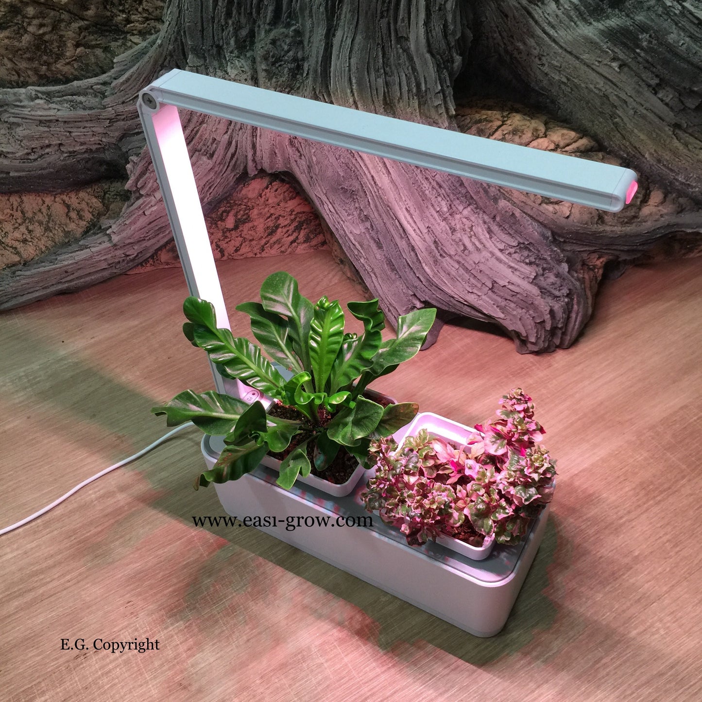 Hydroponic Mini Garden LED (Promotion Sales)