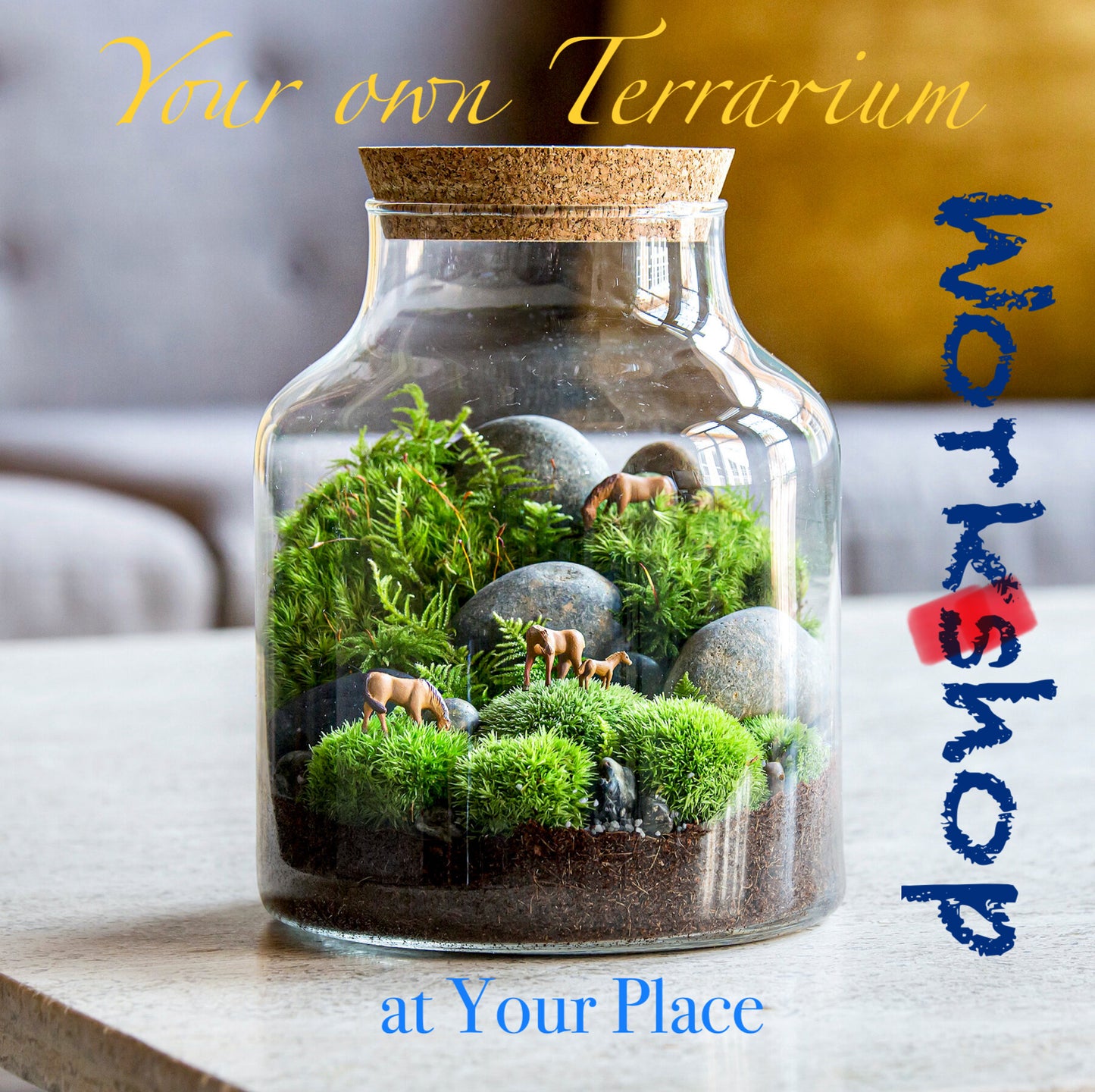 Onsite Terrarium Course