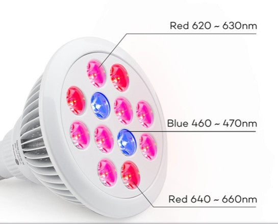 LED Grow Light Bulb, E27, 24W