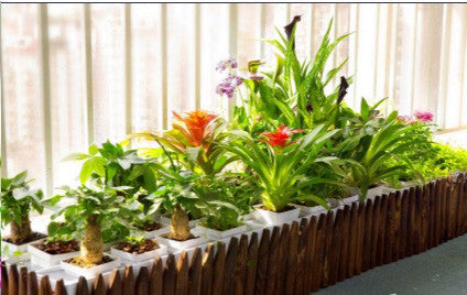Hydroponic Pro Garden