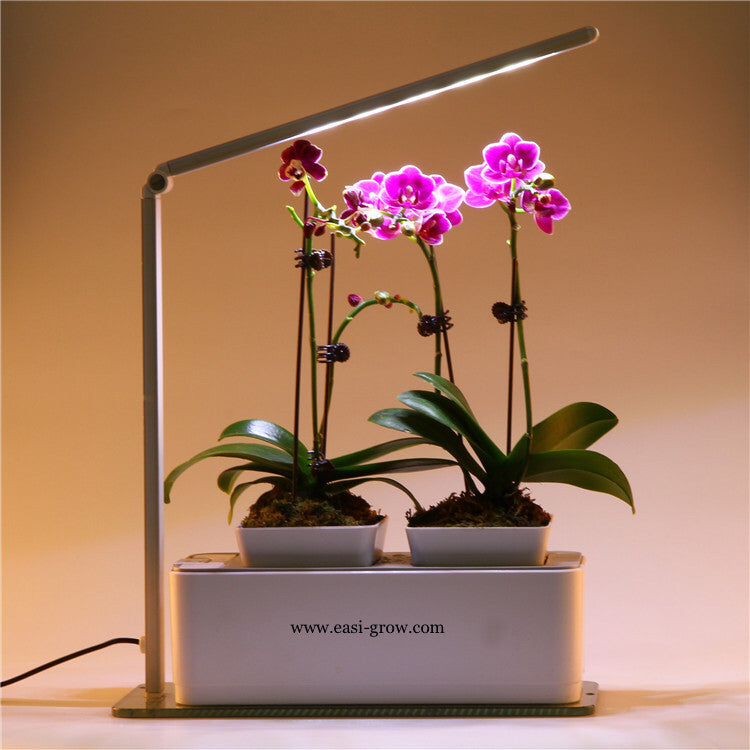 Hydroponic Mini Garden LED (Promotion Sales)