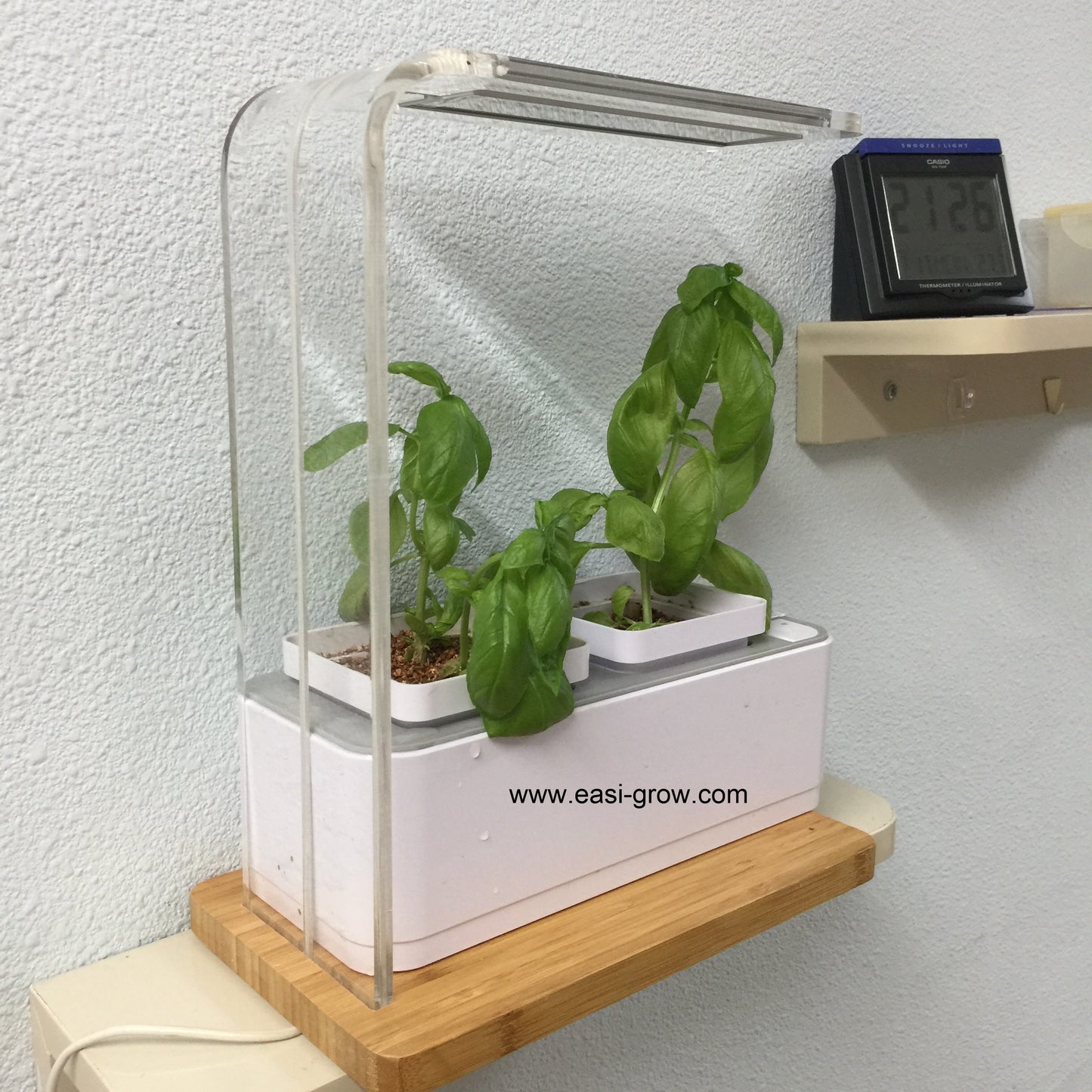 Complete Hydroponic Mini Set