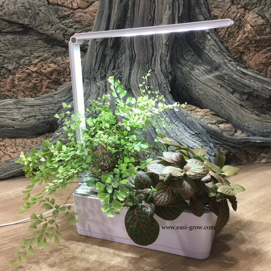 Hydroponic Mini Garden LED (Promotion Sales)