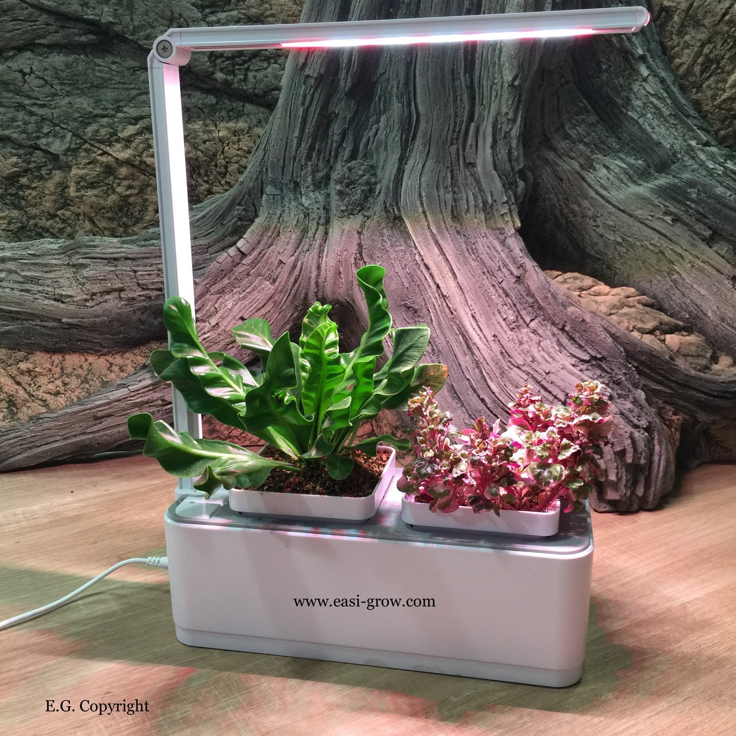 Hydroponic Mini Garden LED (Promotion Sales)