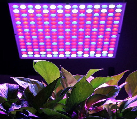 LED Panel Grow Light, 45W