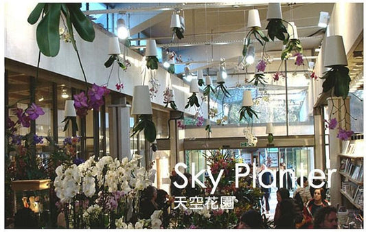 Sky Planter